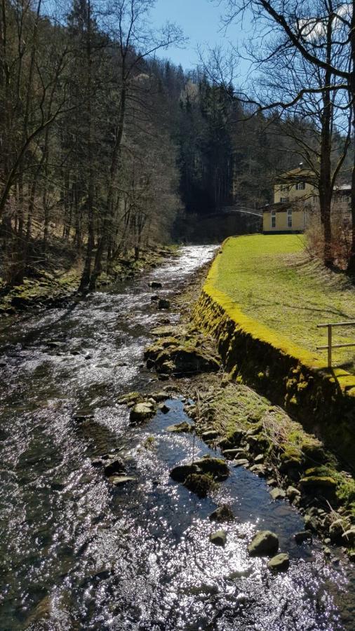 Ferienwohnung Frankenwald ナイラ エクステリア 写真